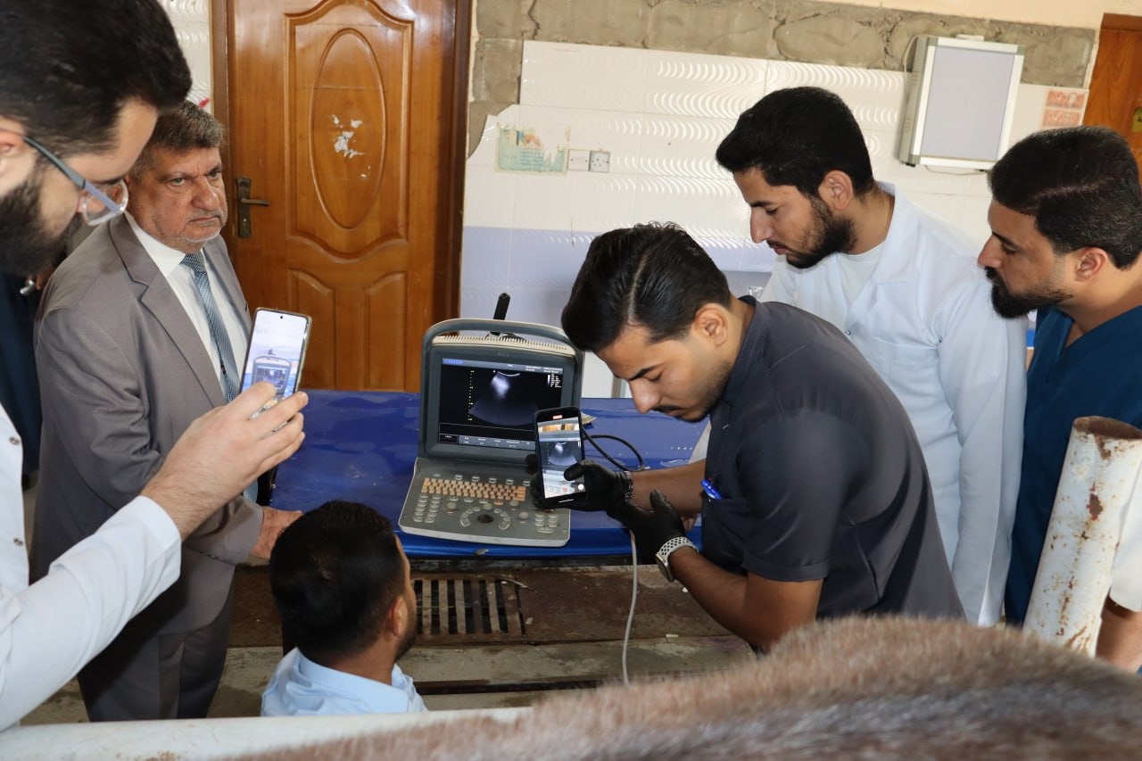 Surgery and Obstetrics Department Conducts Ultrasound Exam for Mare