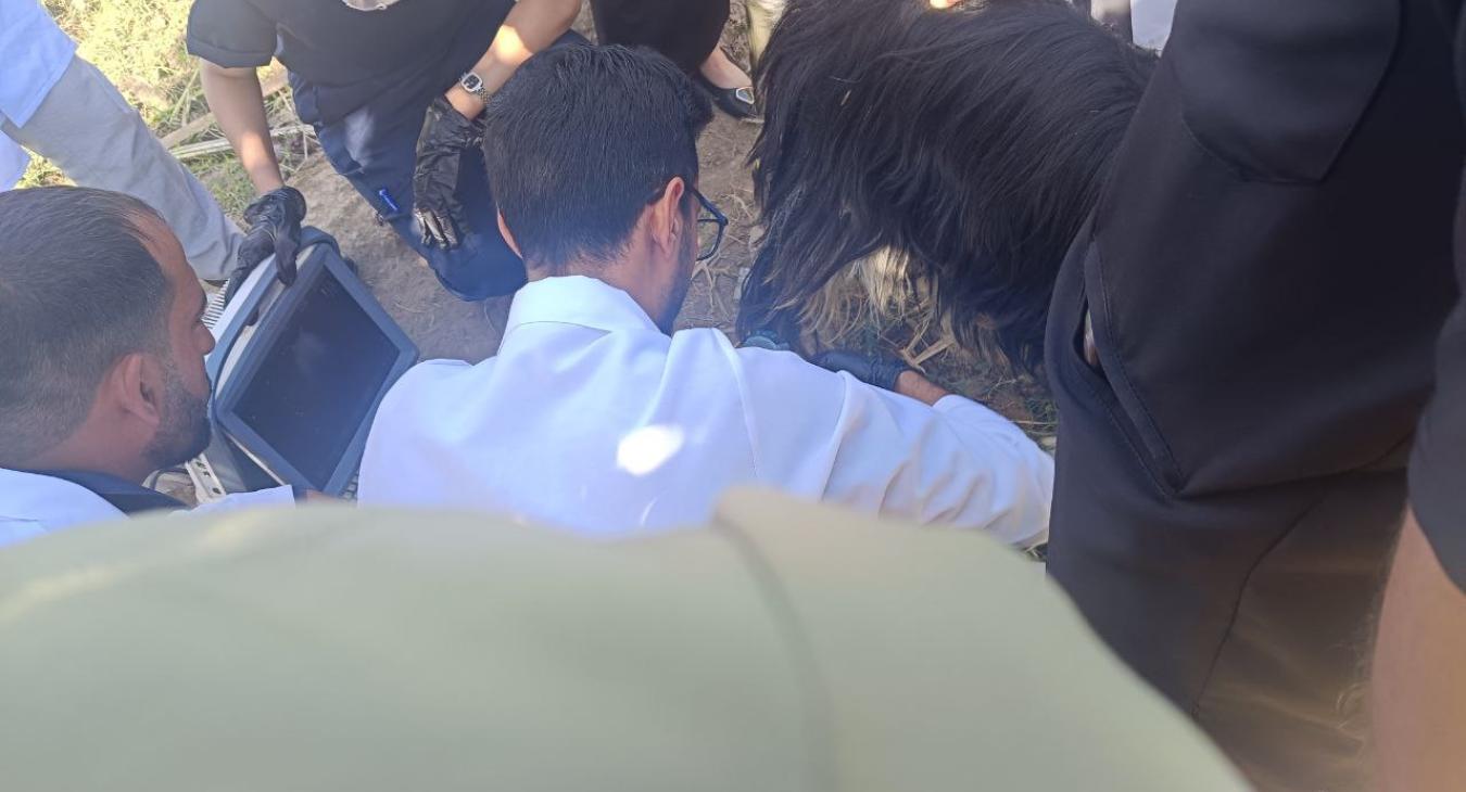 Students Conduct Field Clinic in Al-Saqlawiyah