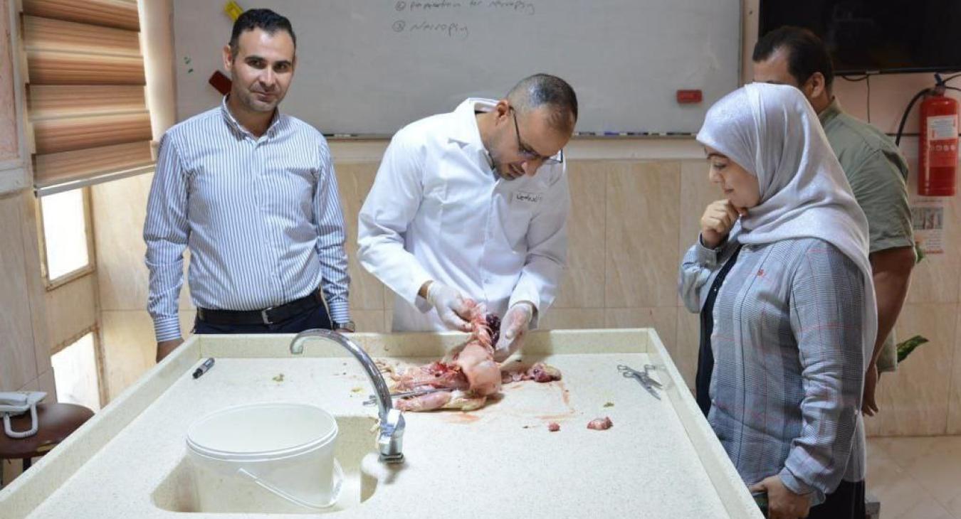 The College of Veterinary Medicine Holds a Workshop in the Pathology and Poultry Diseases Laboratory.