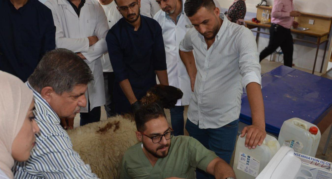 The Second Day of the Training Course: "Ultrasound and Its Applications in the Veterinary Field," Organized by the Rehabilitation and Employment Unit at Our College.