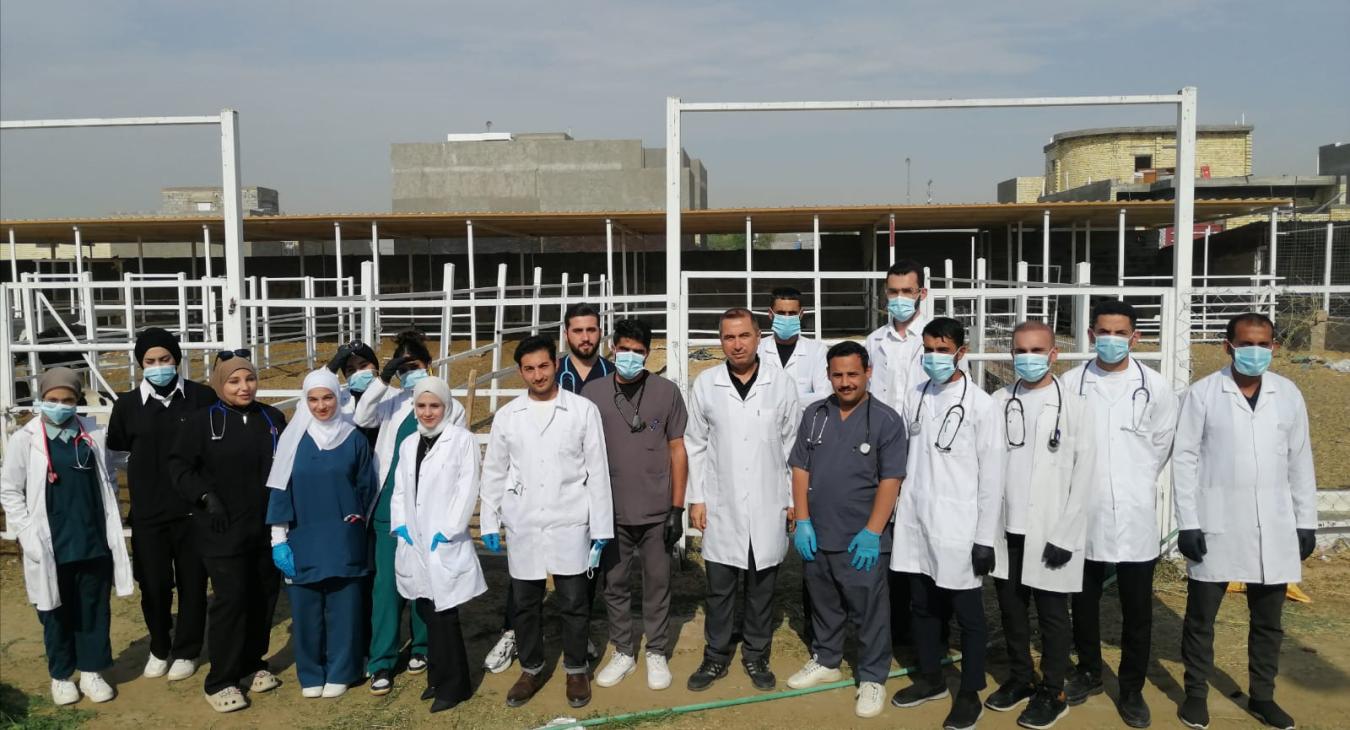 Fourth-year students participate in the rehabilitation and development of the animal field at the College of Veterinary Medicine.