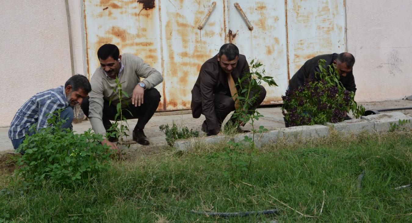 The College of Veterinary Medicine in Fallujah is carrying out a large-scale tree-planting campaign within its halls to preserve the university environment.