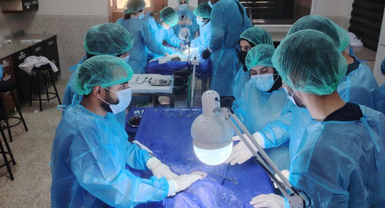 The College of Veterinary Medicine conducts practical surgery exams for fifth-year students for the second semester.