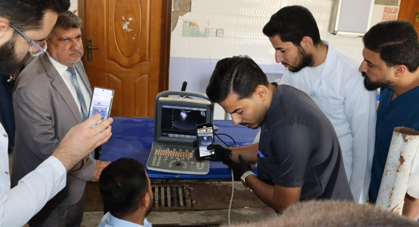 Surgery and Obstetrics Department Conducts Ultrasound Exam for Mare