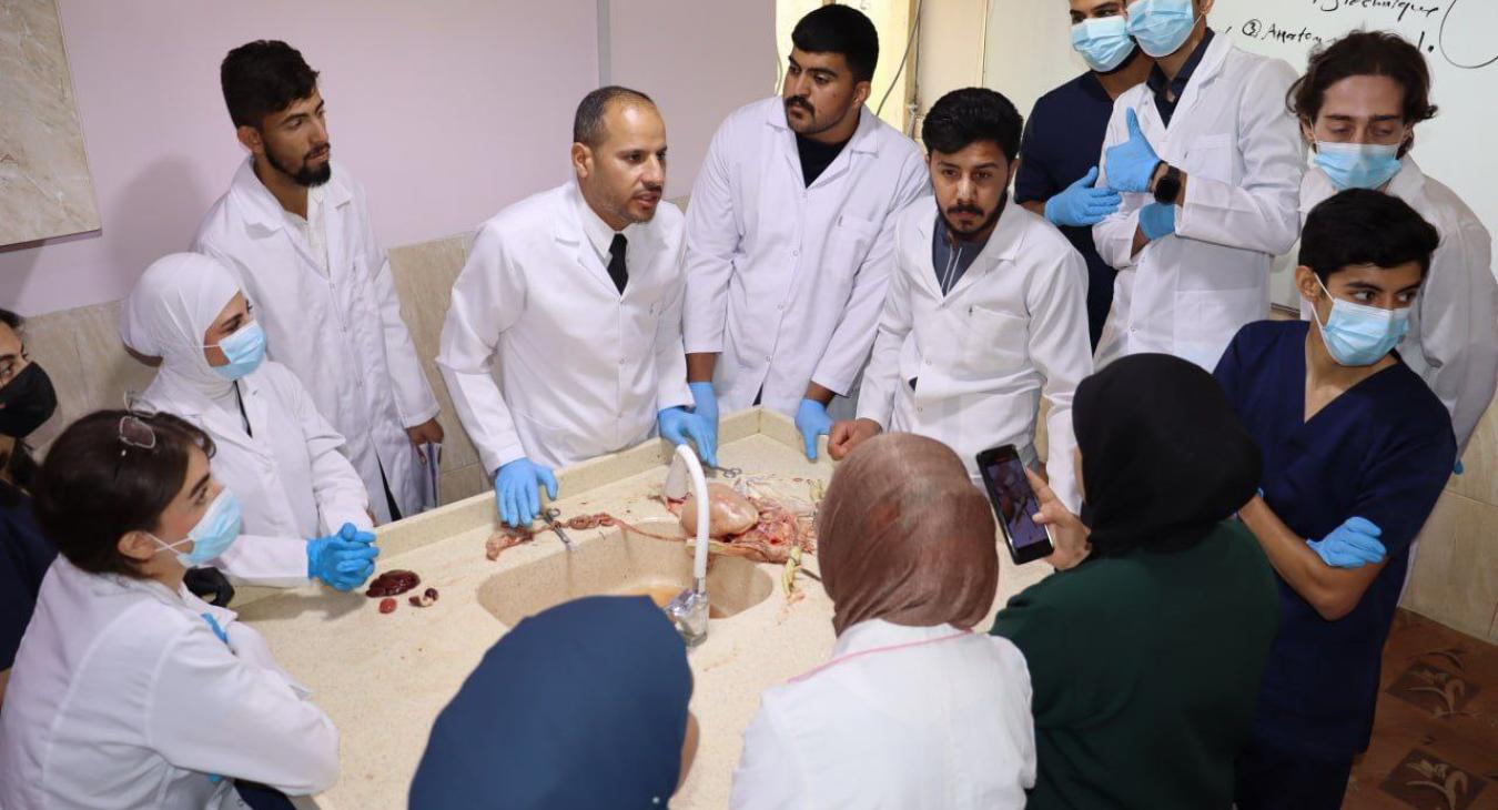 Poultry Dissection and Diagnosis of Pathological Lesions