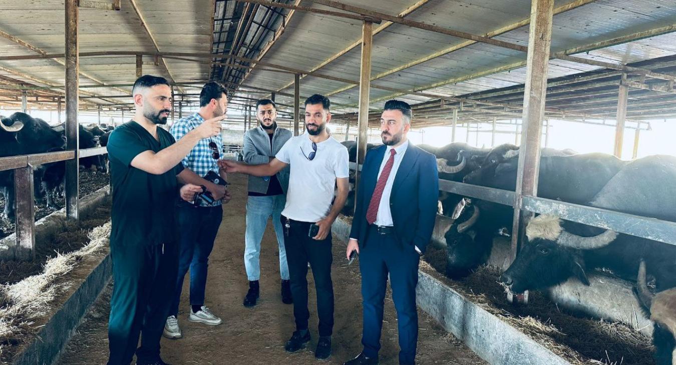 Scientific Field Visit for Fourth-Year Students to Large Animal Farms in Abu Ghraib